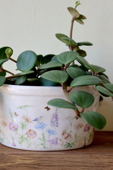 Hovedbilde Chic Antique PAPILLON ...