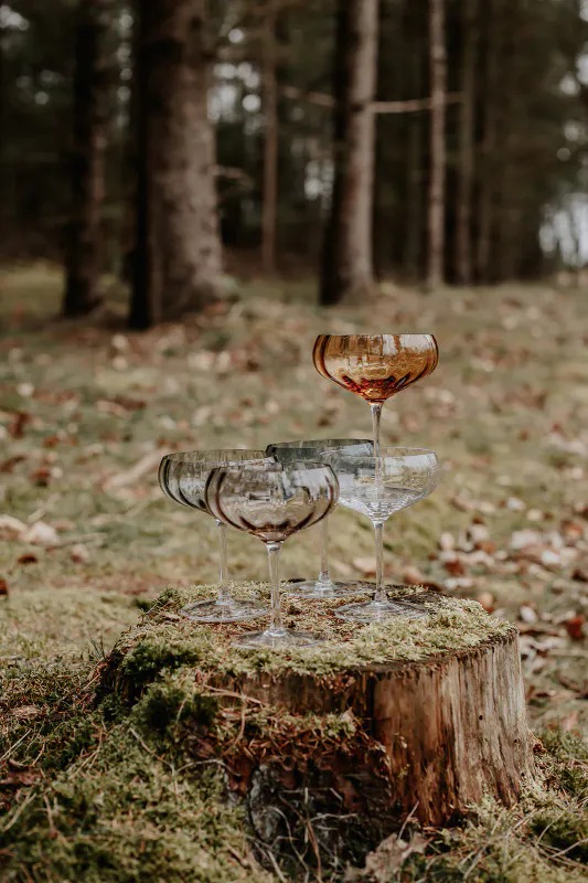 Specktrum MEADOW Stemware Clear Cocktail Glass