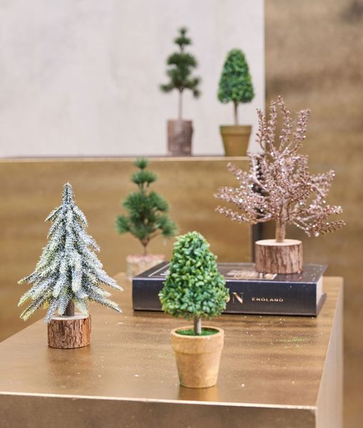 Hovedbilde Speedtsberg BUKSBOM kjegle i ...