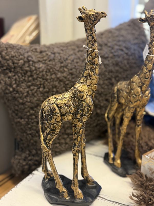 Speedtsberg GIRAFF Sort/gull